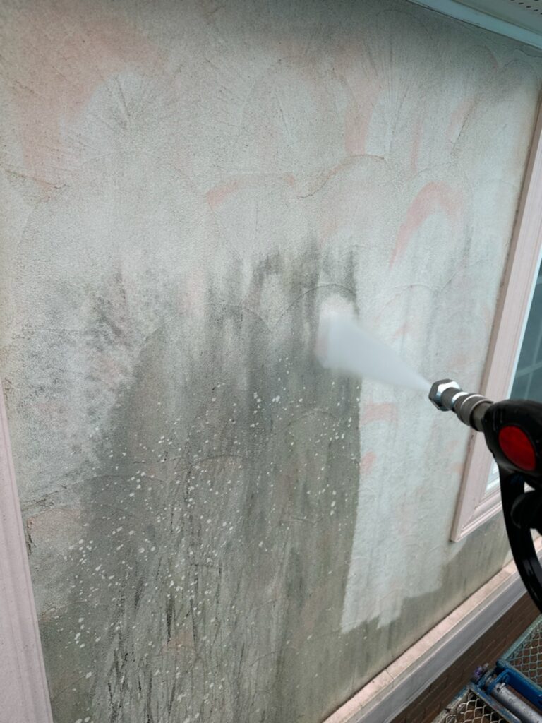 外壁洗浄<br />
（表面のコケやカビをしっかり落としました。）